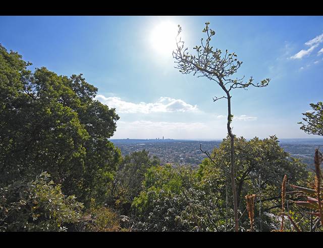 2,024M² VACANT LAND FOR SALE IN LINKSFIELD RIDGE
